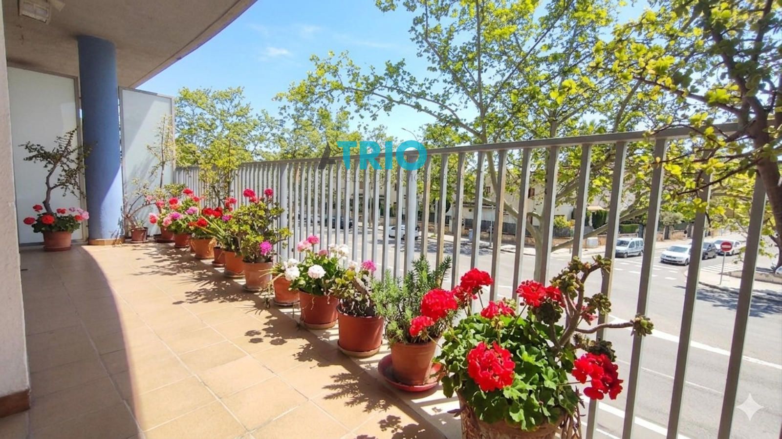 pisos en palma-de-mallorca · son-cladera 425000€