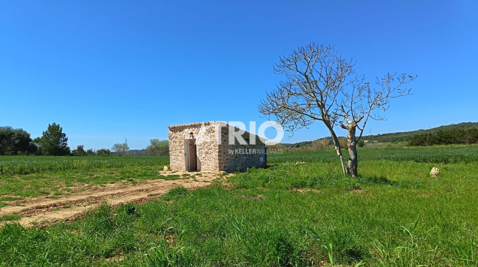 parcelas en sineu ·  120000€