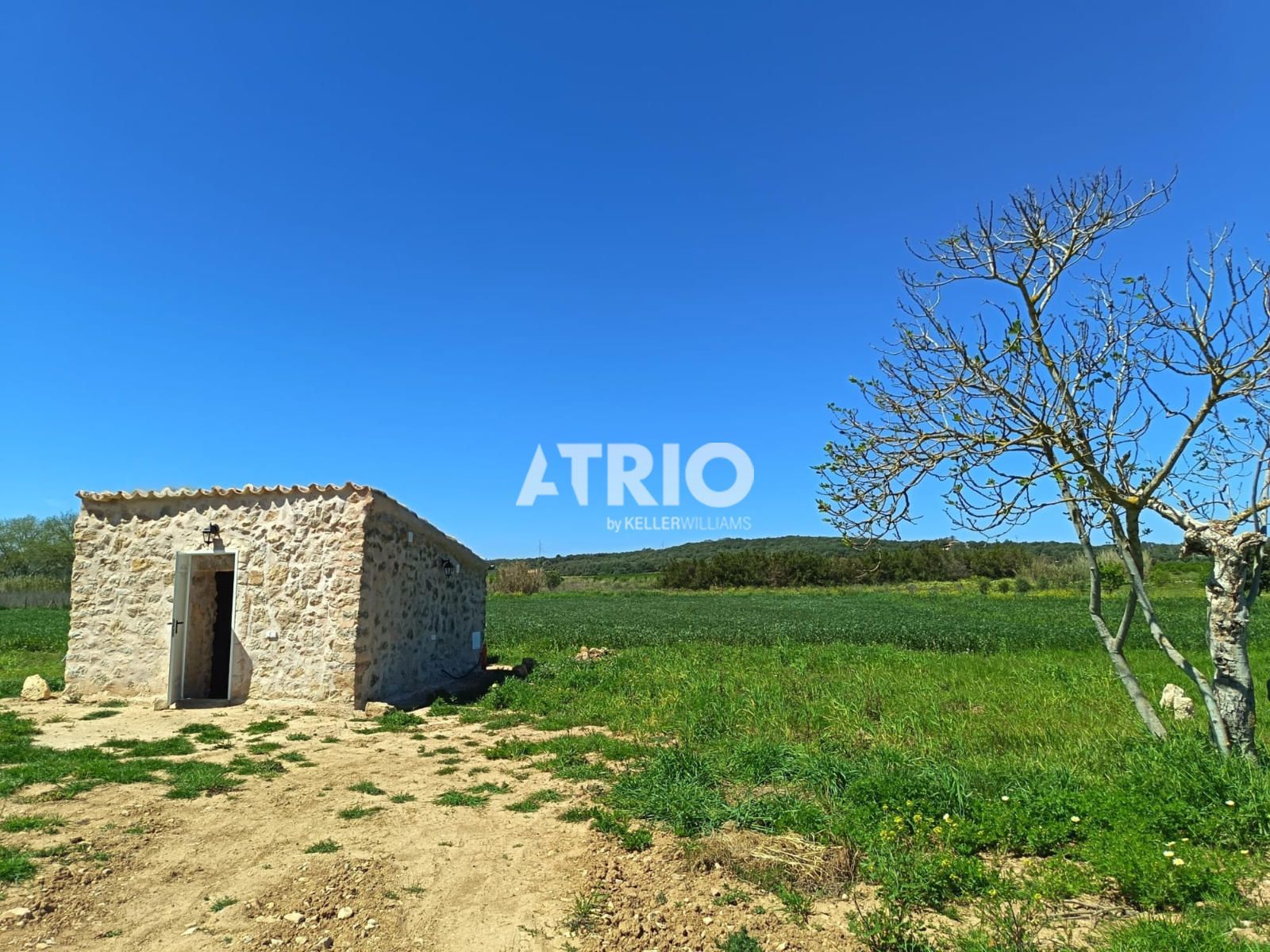 parcelas en sineu ·  120000€