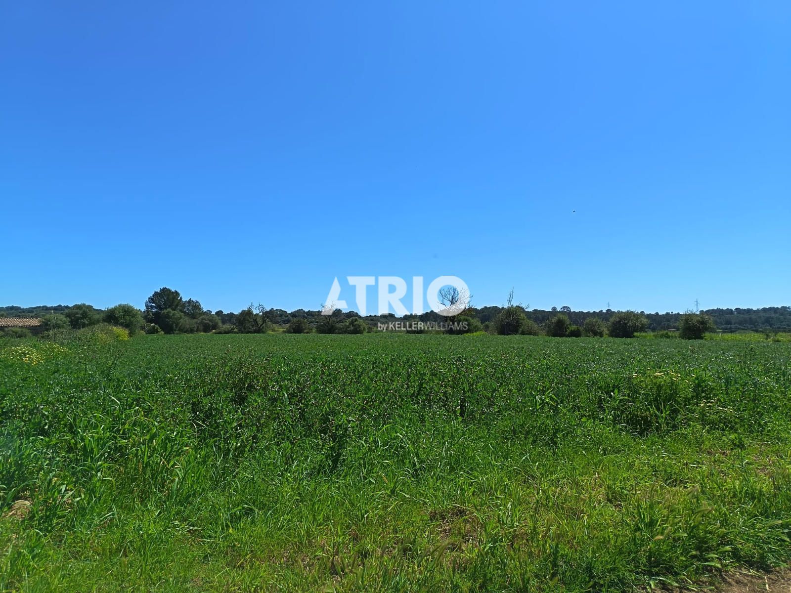 parcelas en sineu ·  120000€