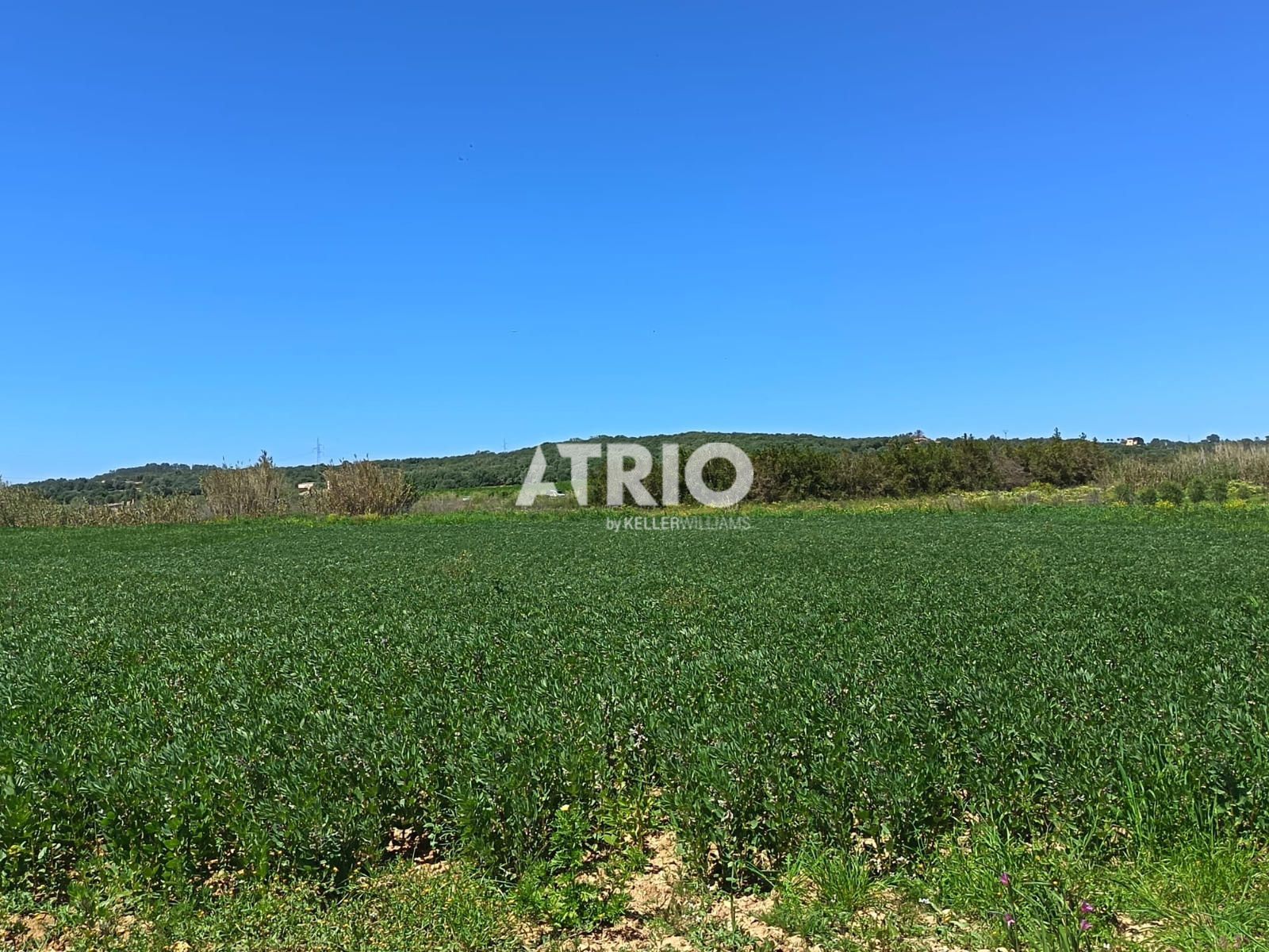 parcelas en sineu ·  120000€