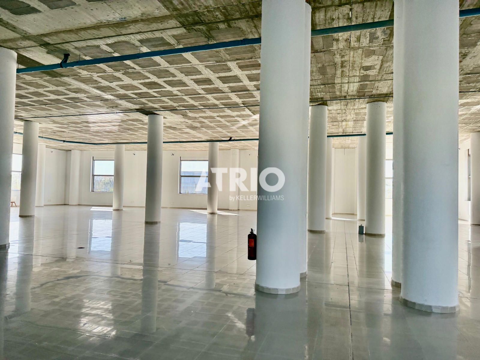 locales-comerciales en palma-de-mallorca · can-valero 20000€
