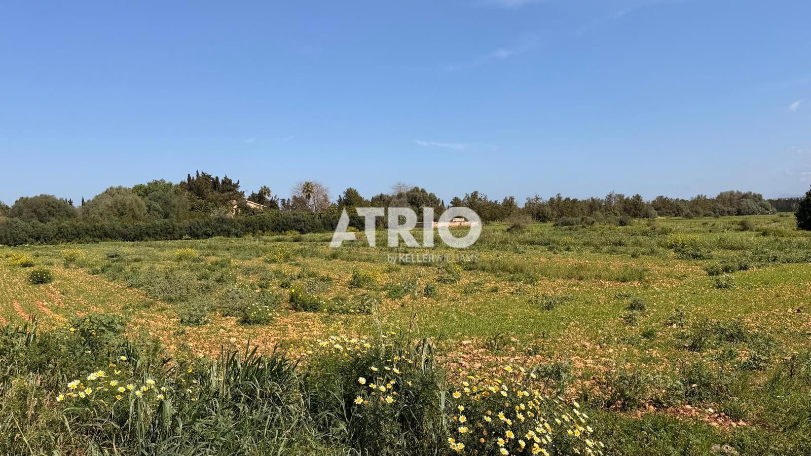 chalet en llubi ·  3995000€