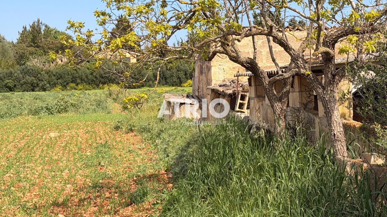 chalet en llubi ·  3995000€