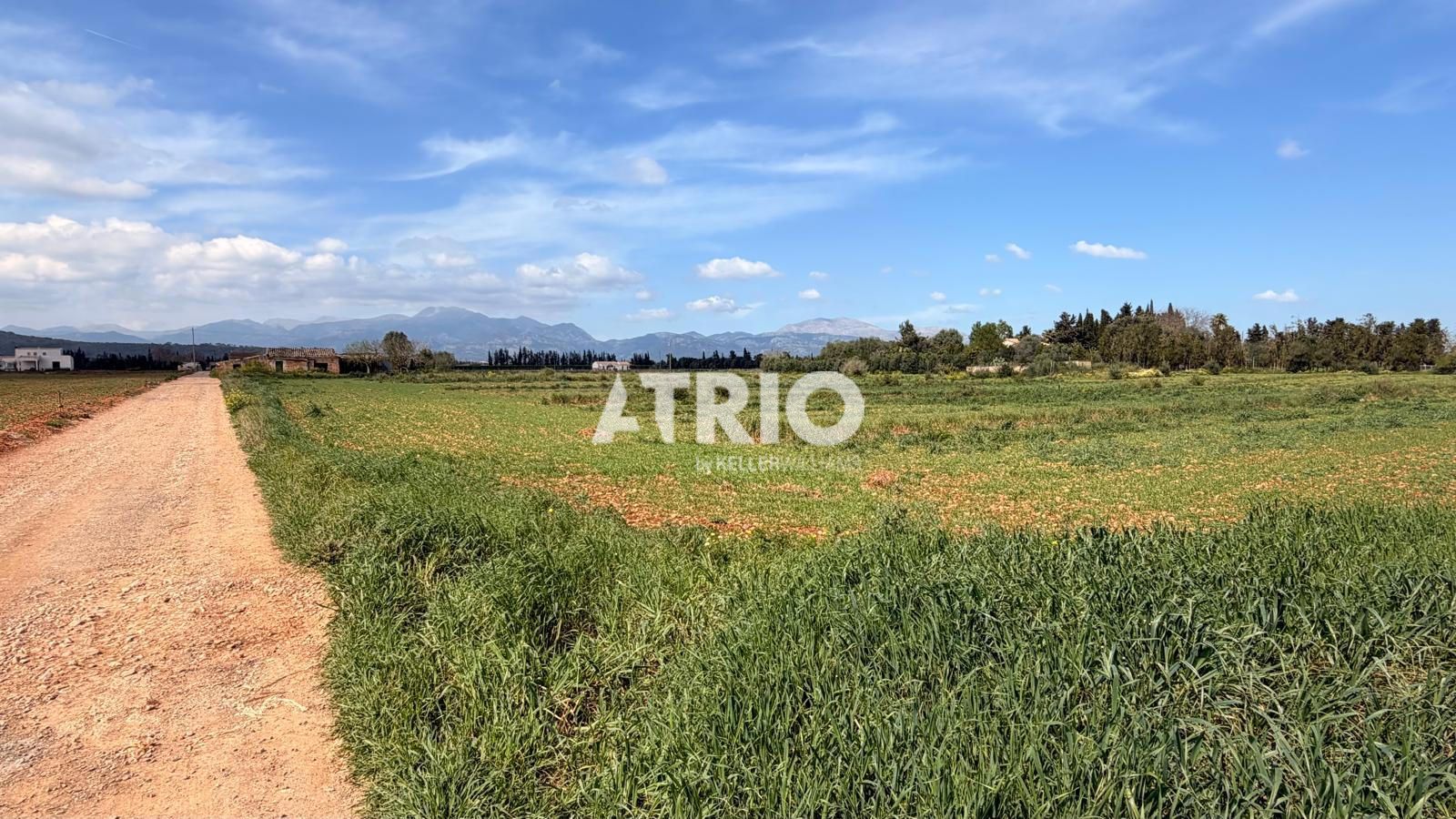 chalet en llubi ·  3995000€