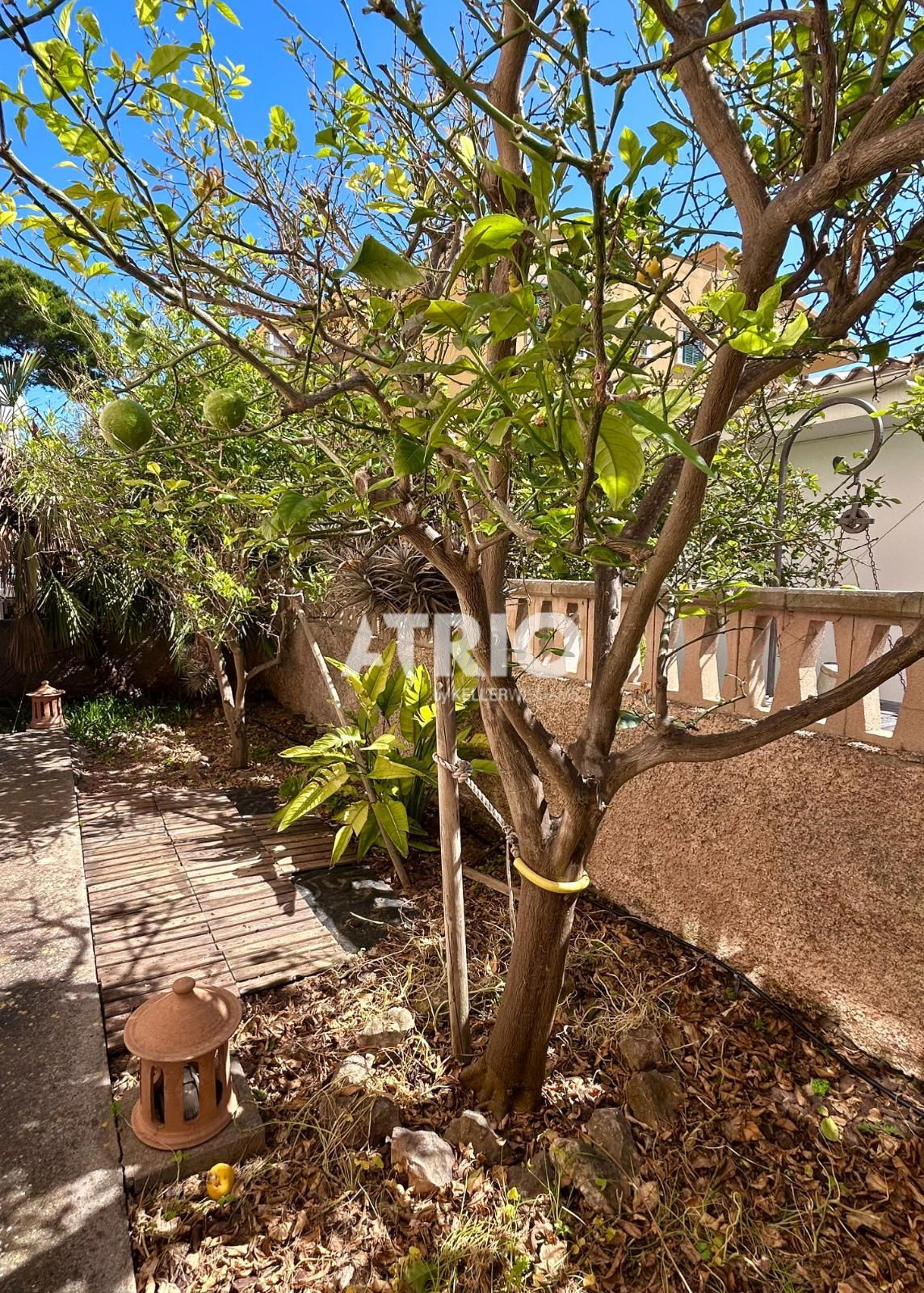 pisos en santa-margalida · can-picafort 399000€
