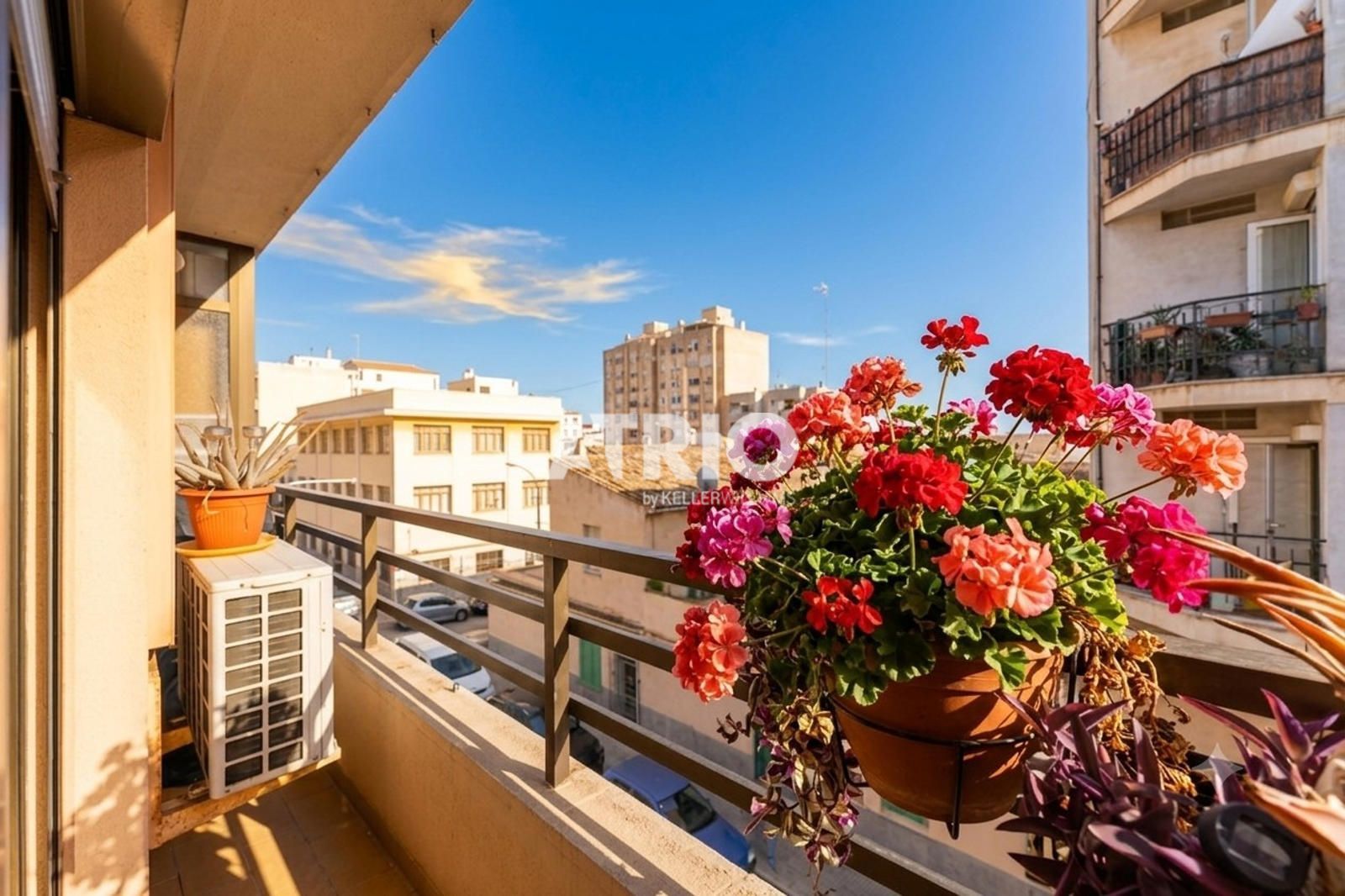 pisos en palma-de-mallorca · la-soledad 350000€