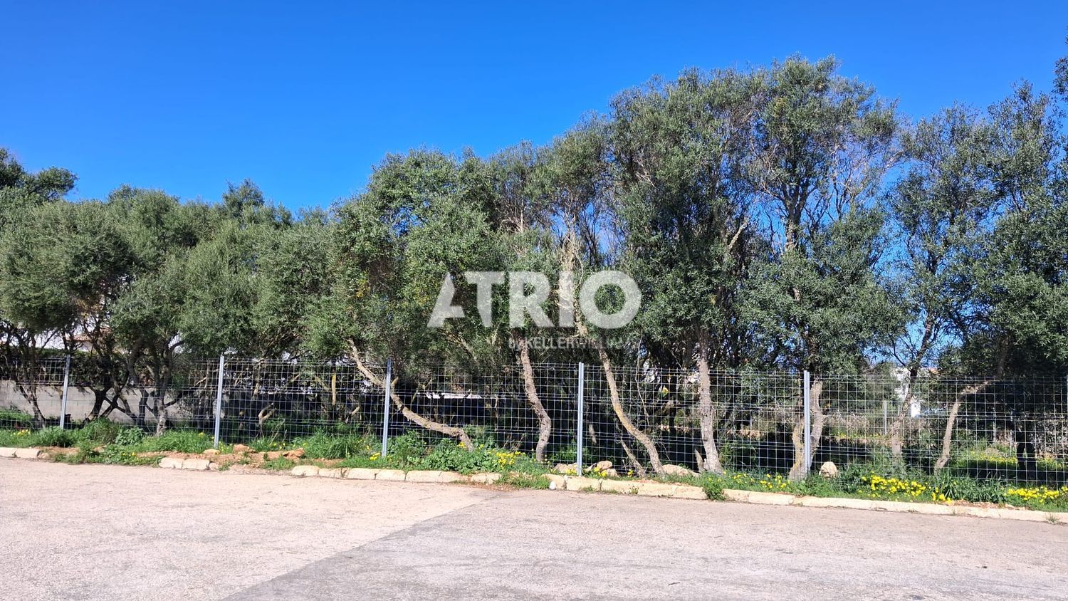 parcelas en llucmajor · bahia-grande 545000€