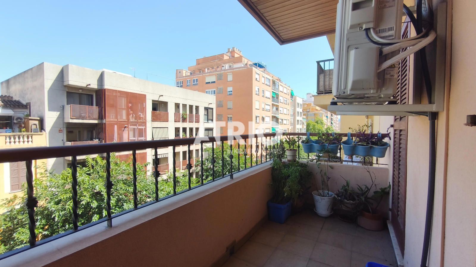 pisos en palma-de-mallorca · arxiduc 1900€