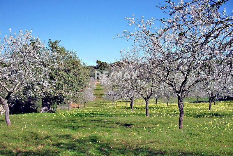 Plot for sale Cala Santanyi, Baleares. Ref: 1803. RE/MAX AURA