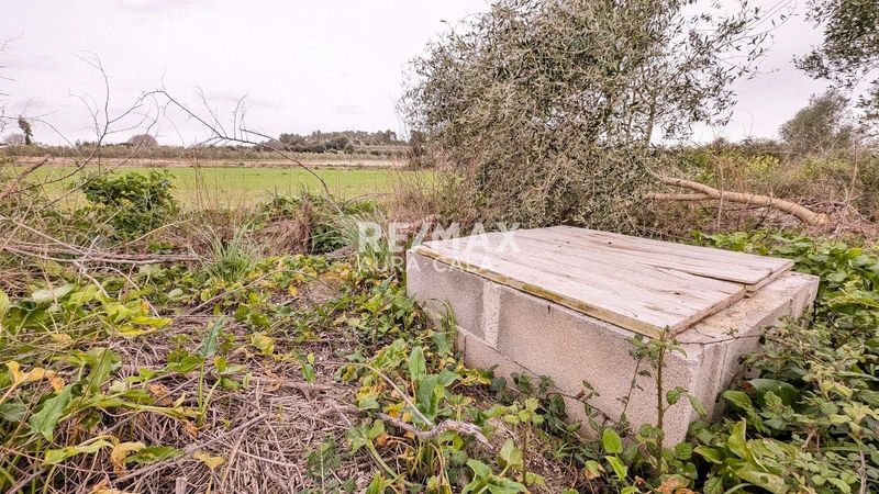 Parcela en venta Muro, Baleares. Ref: 2346. RE/MAX AURA