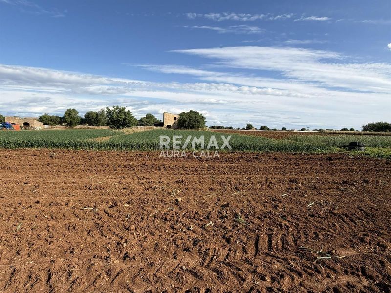 Parcela en venta Manacor, Baleares. Ref: 2407. RE/MAX AURA