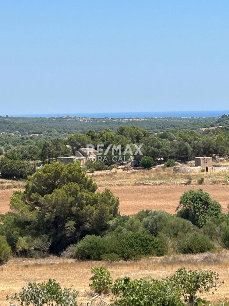 Plot for sale Manacor, Baleares. Ref: 2423. RE/MAX AURA