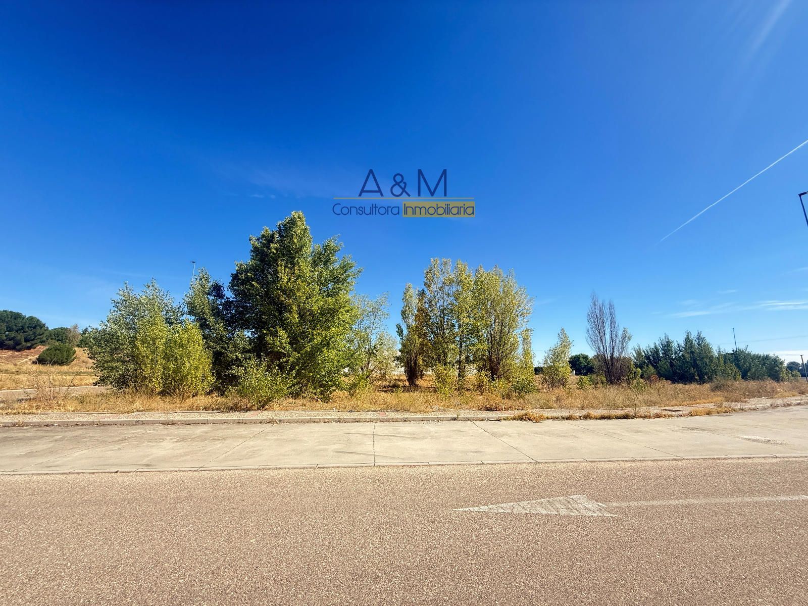 PARCELA INDUSTRIAL DE 5.171 M2 EN VENTA EN LAGUNA DE DUERO - Foto 2
