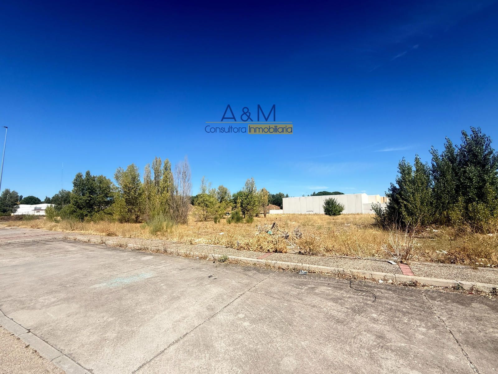 PARCELA INDUSTRIAL DE 5.171 M2 EN VENTA EN LAGUNA DE DUERO - Foto 5