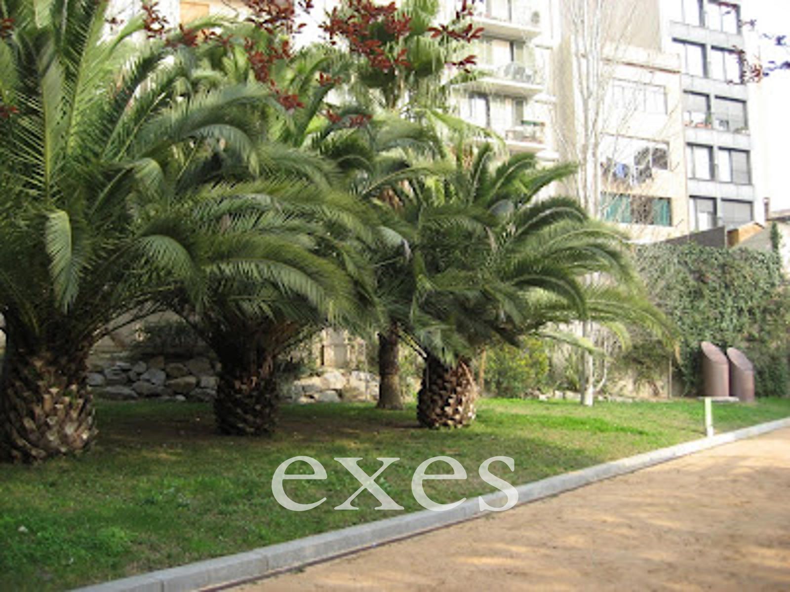 Sant Antoni: piso 87m², terraza 35m² sur, ascensor - Foto 8