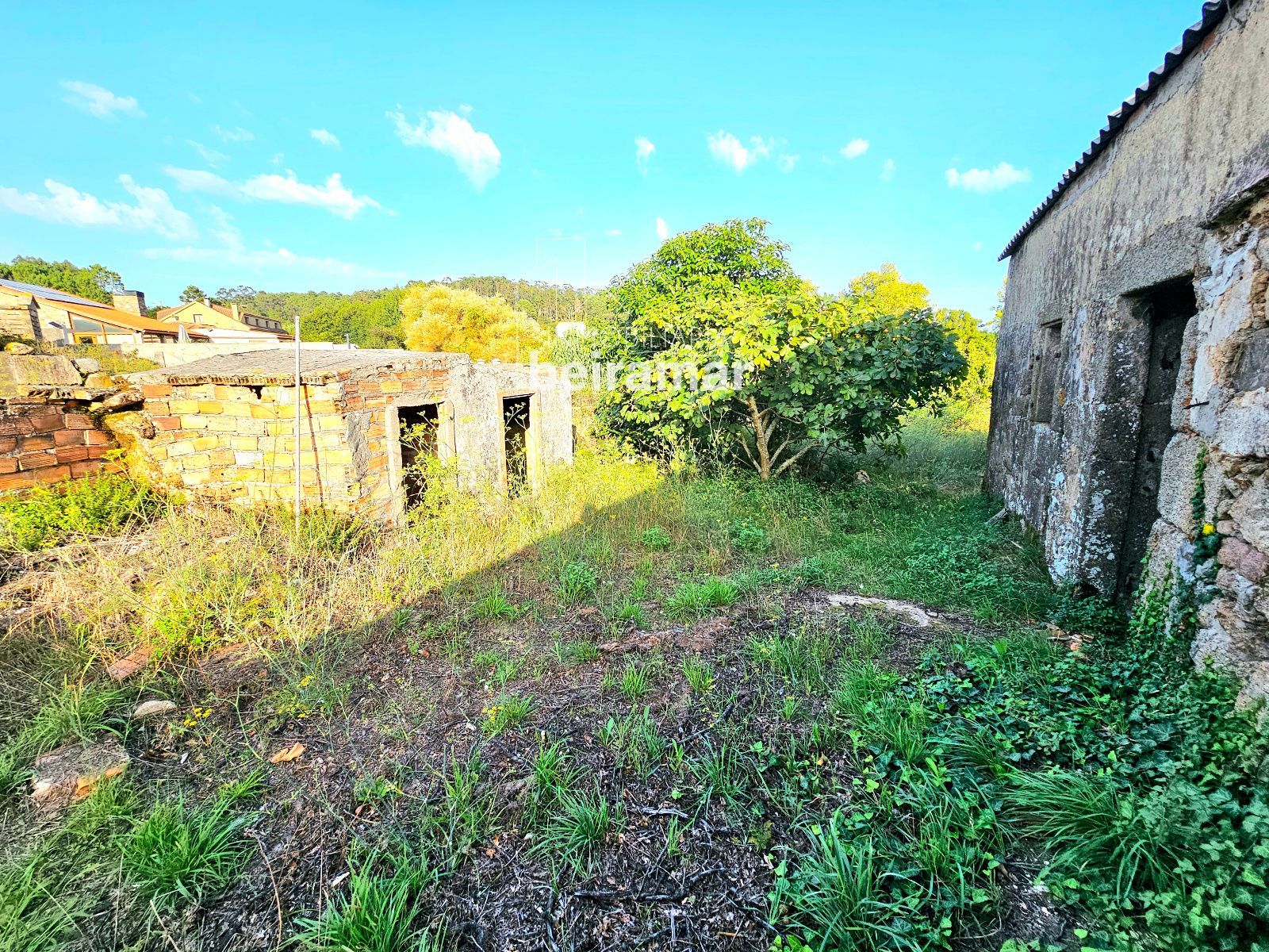 Casa de piedra con finca y vistas al mar en Carreira (Ribeira) – gran potencial de reforma - Foto 4