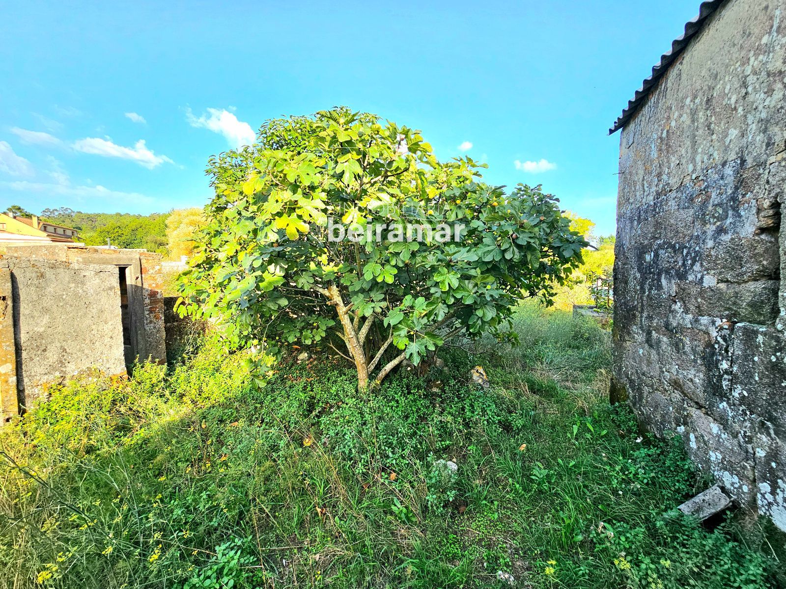 Casa de piedra con finca y vistas al mar en Carreira (Ribeira) – gran potencial de reforma - Foto 9