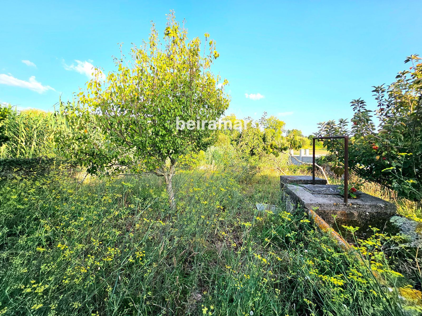 Casa de piedra con finca y vistas al mar en Carreira (Ribeira) – gran potencial de reforma - Foto 10