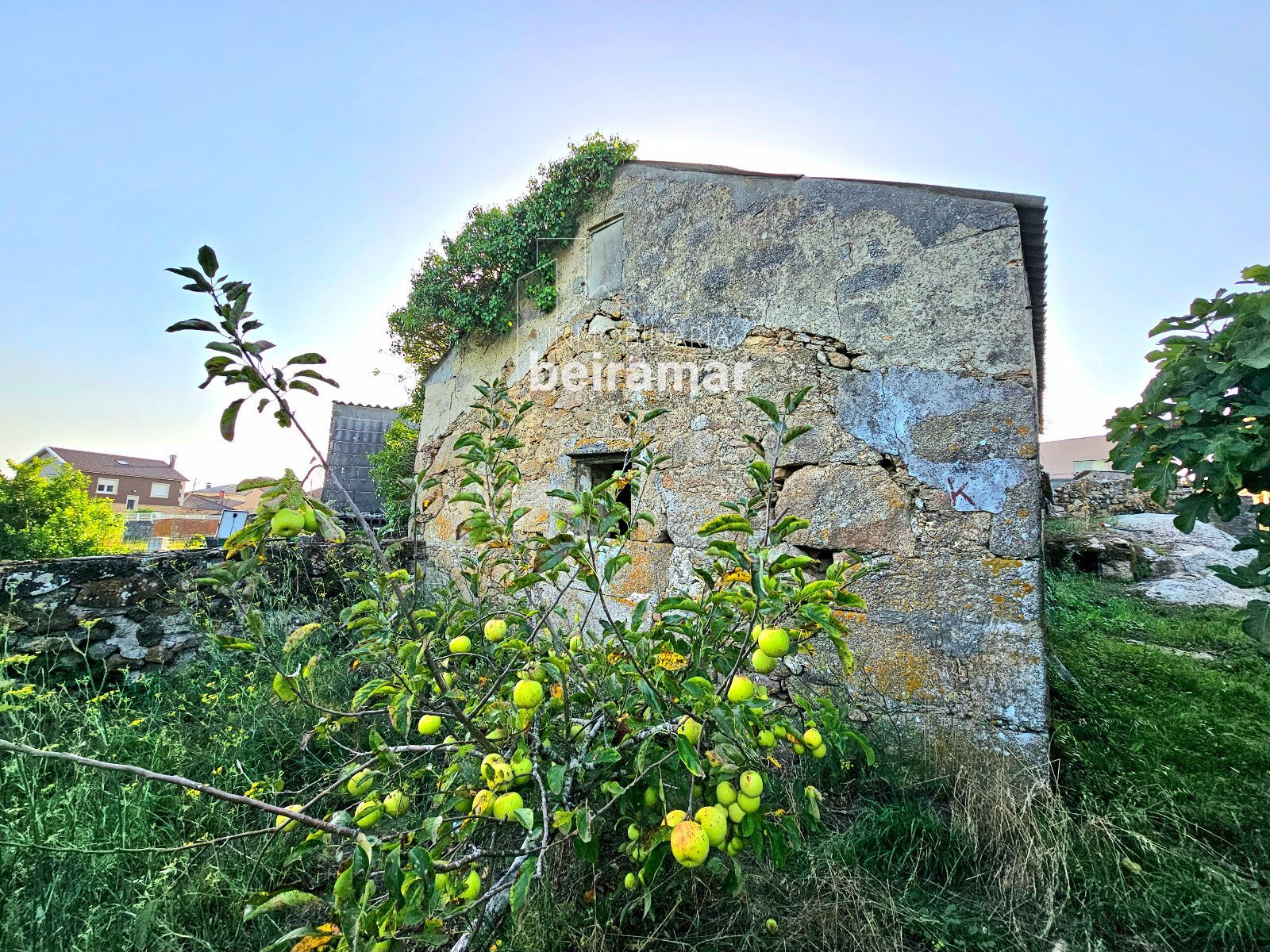 Casa de piedra con finca y vistas al mar en Carreira (Ribeira) – gran potencial de reforma - Foto 11