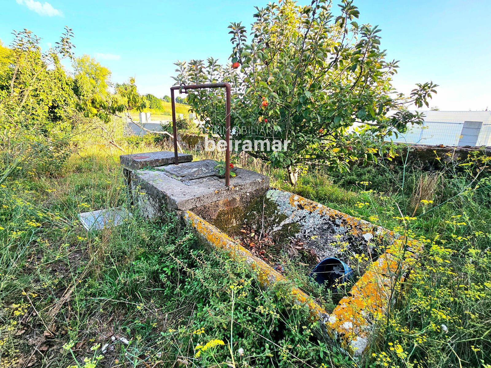 Casa de piedra con finca y vistas al mar en Carreira (Ribeira) – gran potencial de reforma - Foto 12