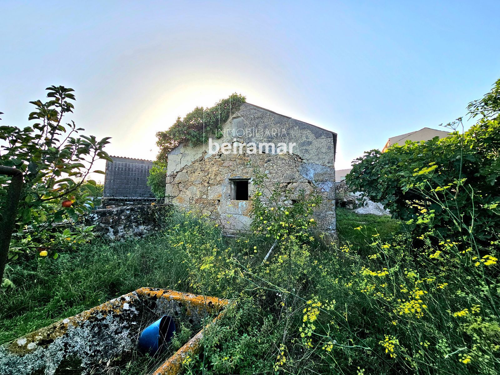 Casa de piedra con finca y vistas al mar en Carreira (Ribeira) – gran potencial de reforma - Foto 14