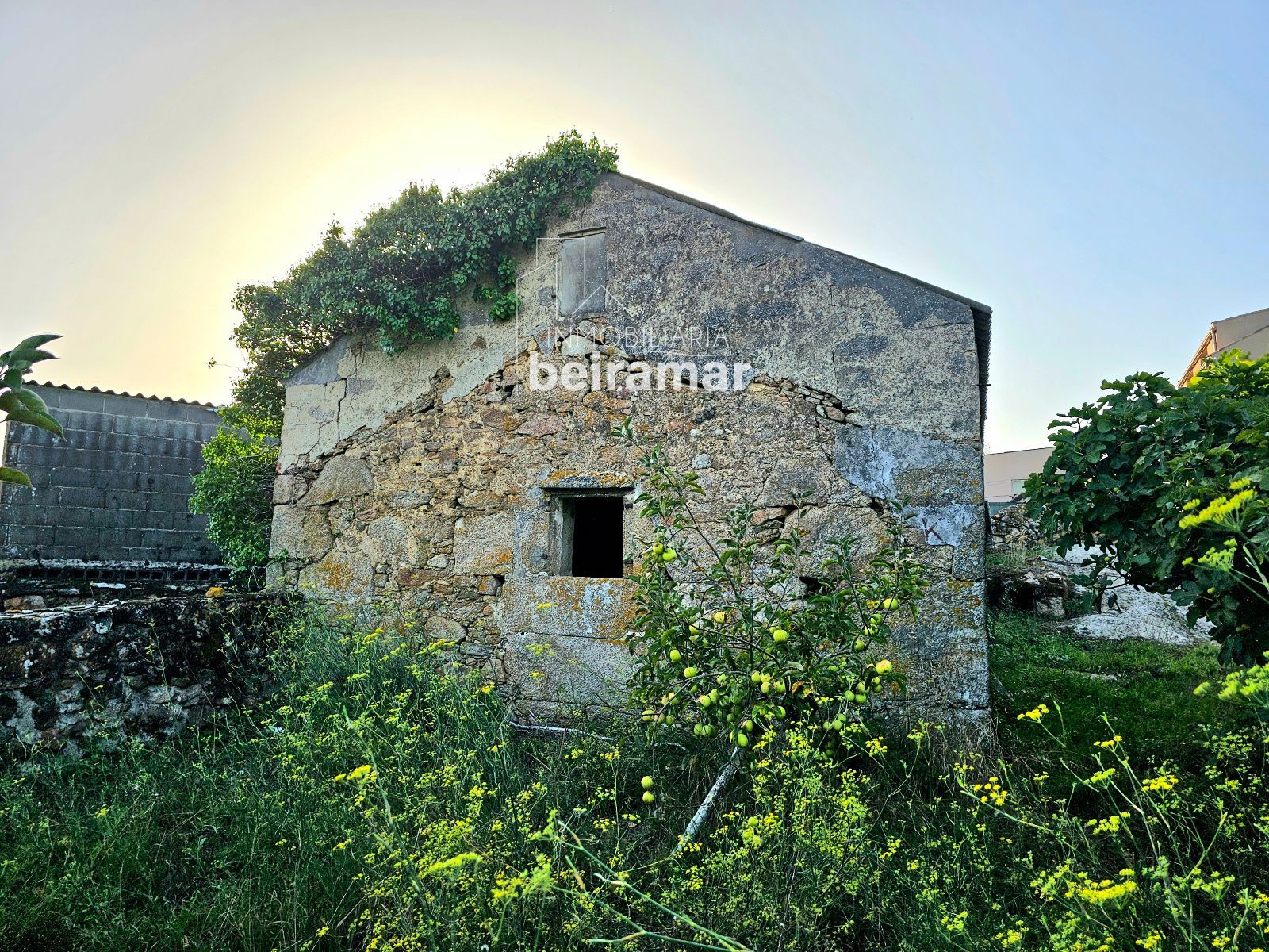 Casa de piedra con finca y vistas al mar en Carreira (Ribeira) – gran potencial de reforma - Foto 15