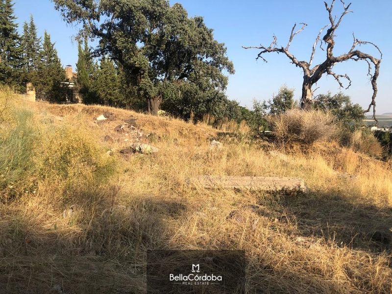 Parcela en venta Alcolea, Córdoba. Ref: 1157. Bella Córdoba Real Estate