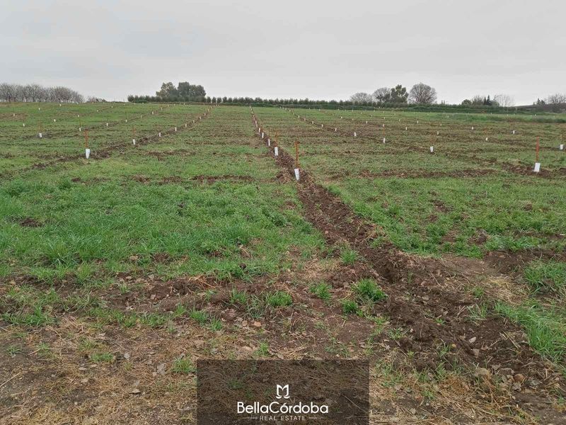 Parcela en venta Córdoba. Ref: 1671. Bella Córdoba Real Estate