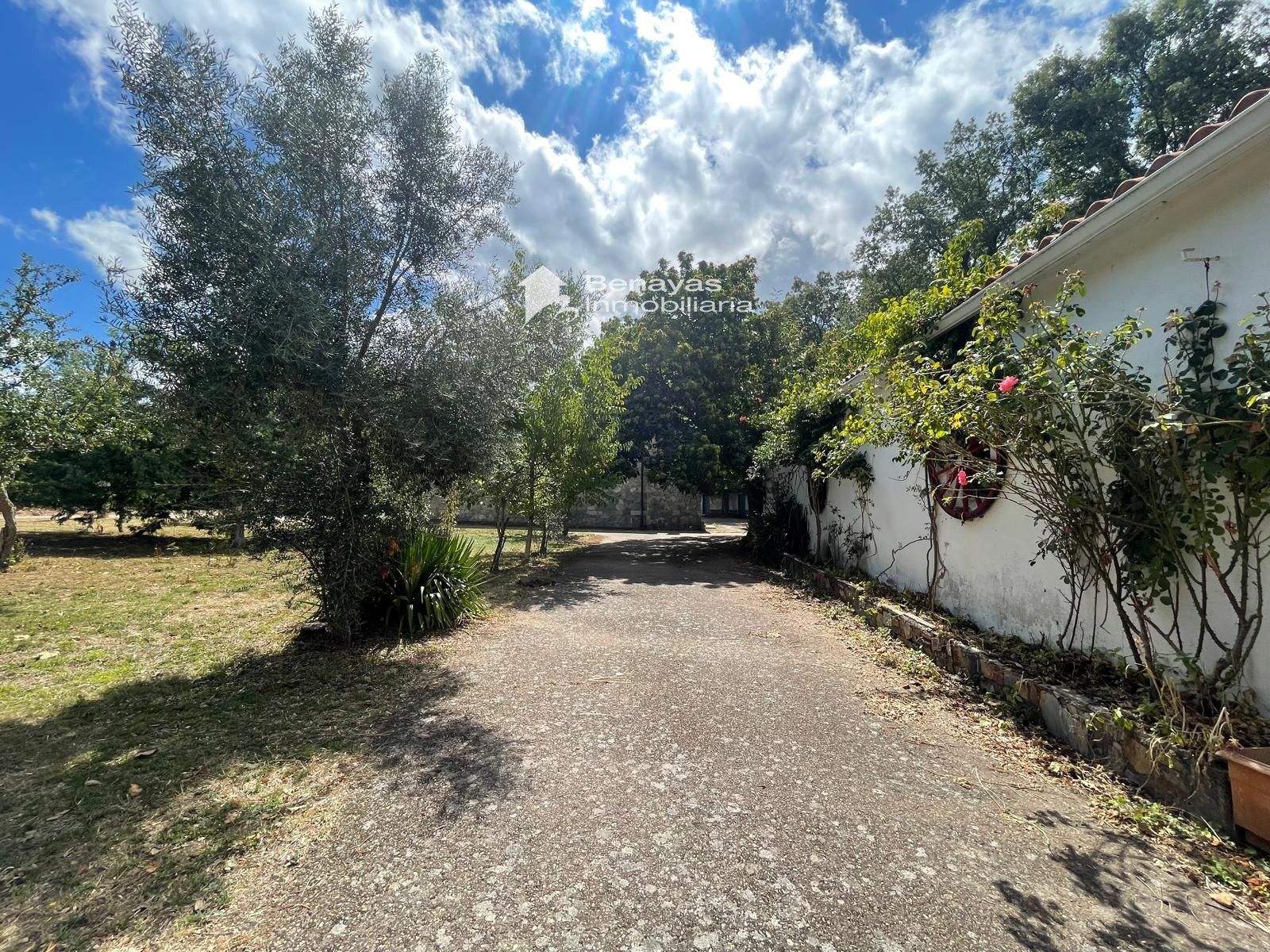 SIERRA DE FRANCIA FINCA CON CHALET Y RESTAURANTE - Foto 31