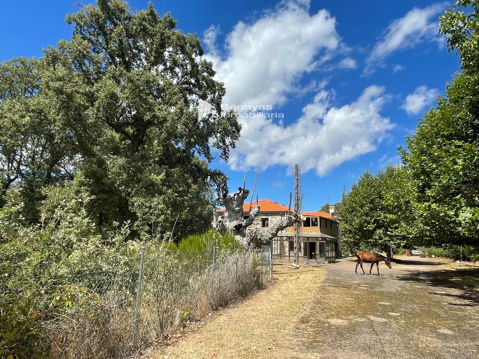 SIERRA DE FRANCIA FINCA CON CHALET Y RESTAURANTE - Foto 68