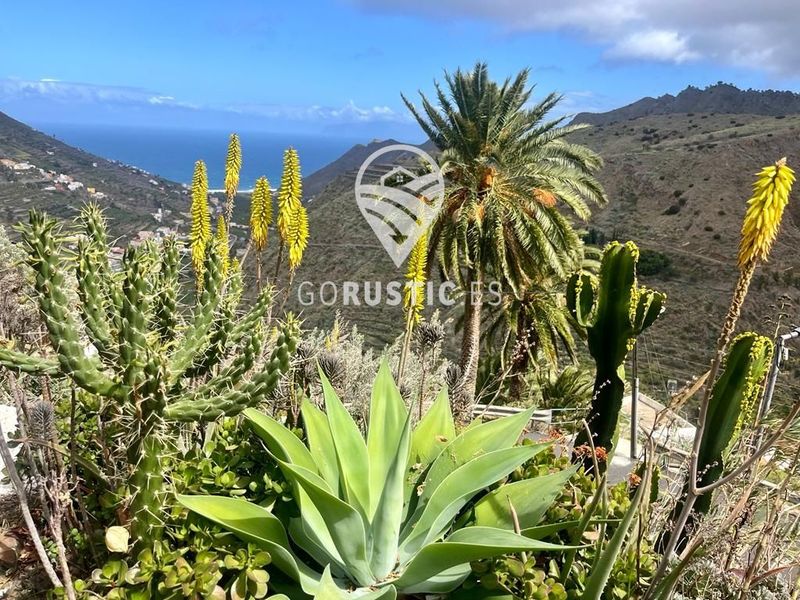 Apartamento en venta Hermigua, Santa Cruz Tenerife. Ref: 1001. GoRustic