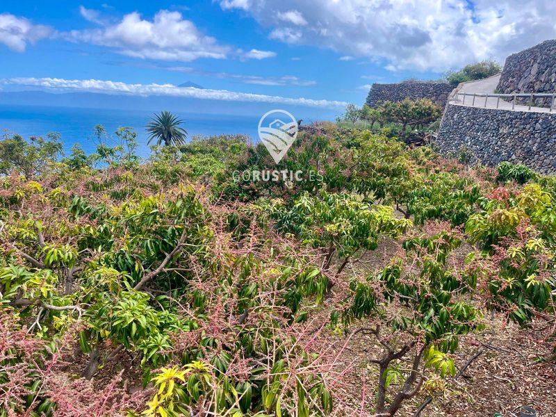 Plot for sale Agulo, Santa Cruz Tenerife. Ref: 1014. GoRustic