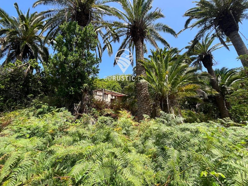Parcela en venta Agulo, Santa Cruz Tenerife. Ref: 1024. GoRustic