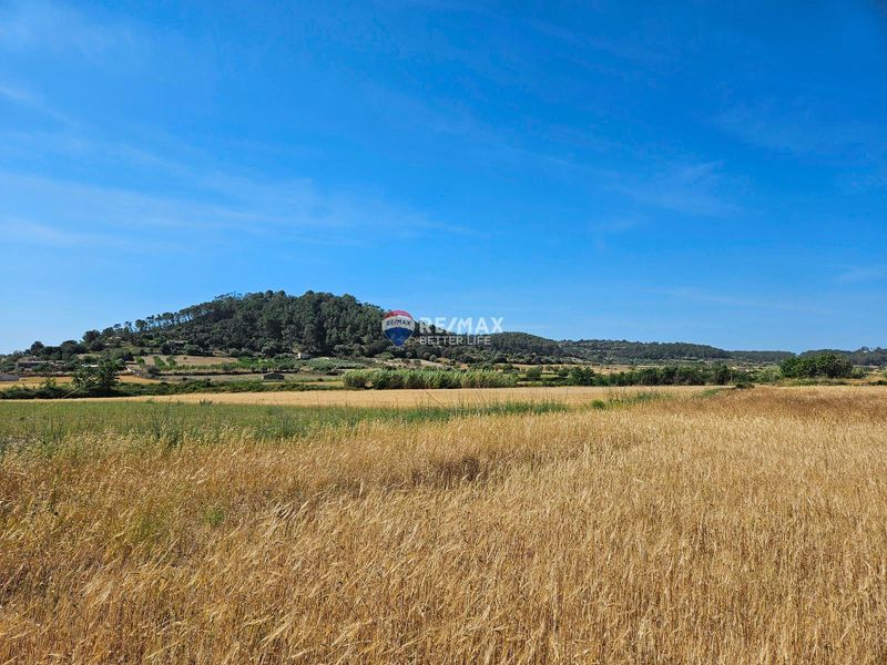 Parcela en venta Sineu, Baleares. Ref: 1673. REMAX Better Life