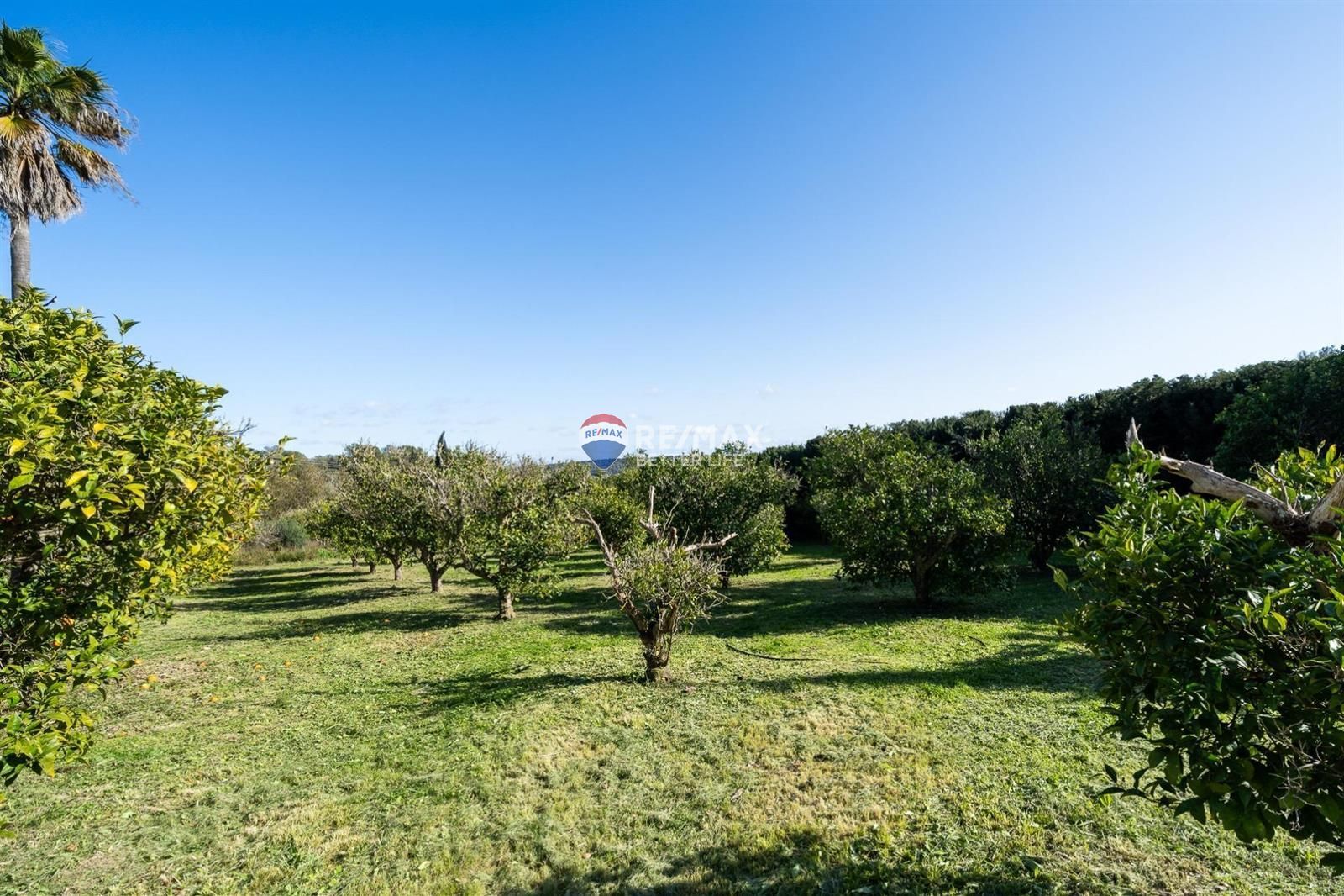 properties-photo