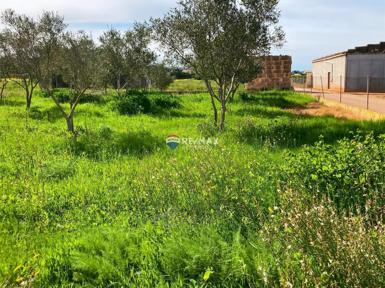 properties-photo