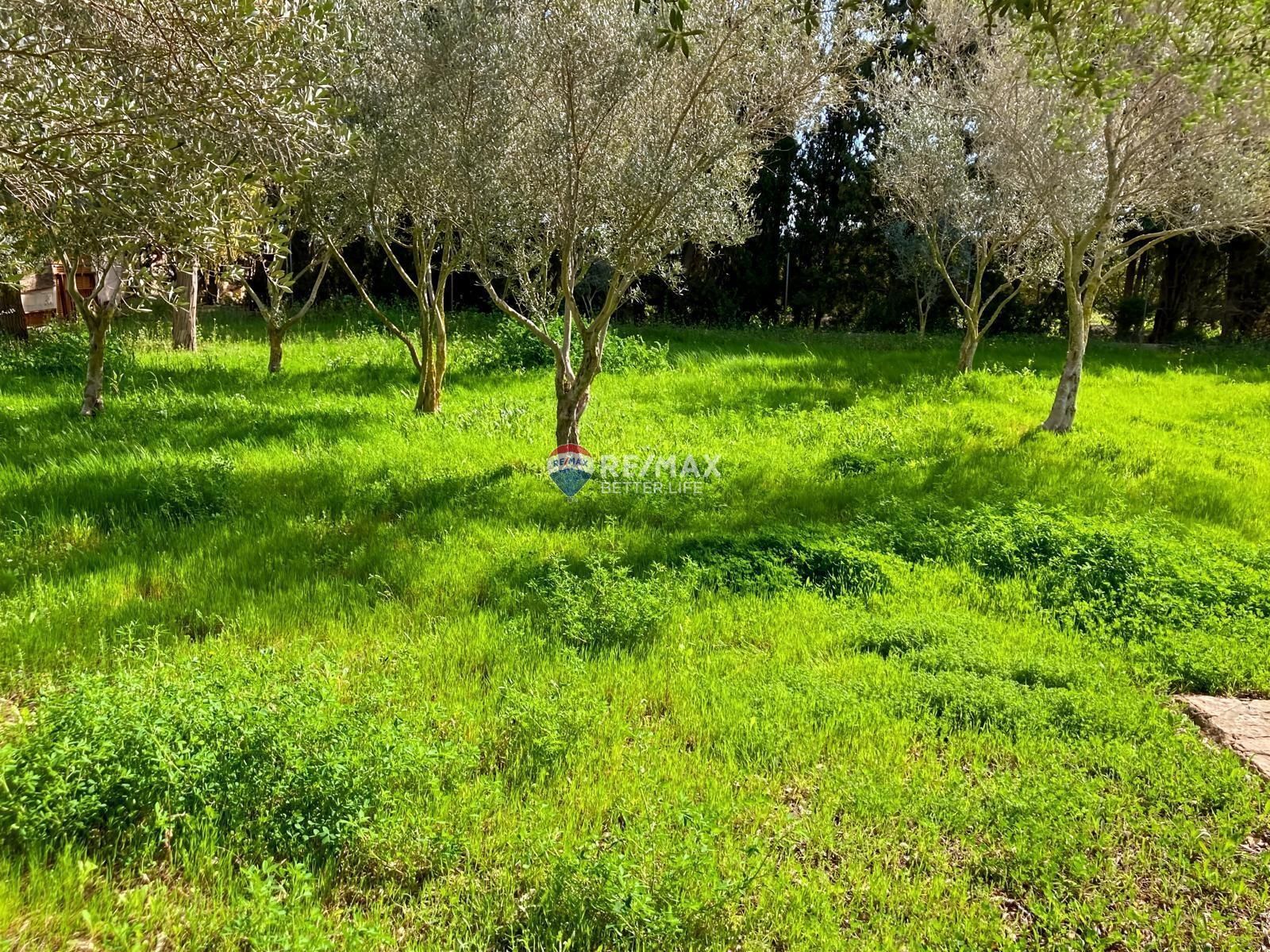 properties-photo