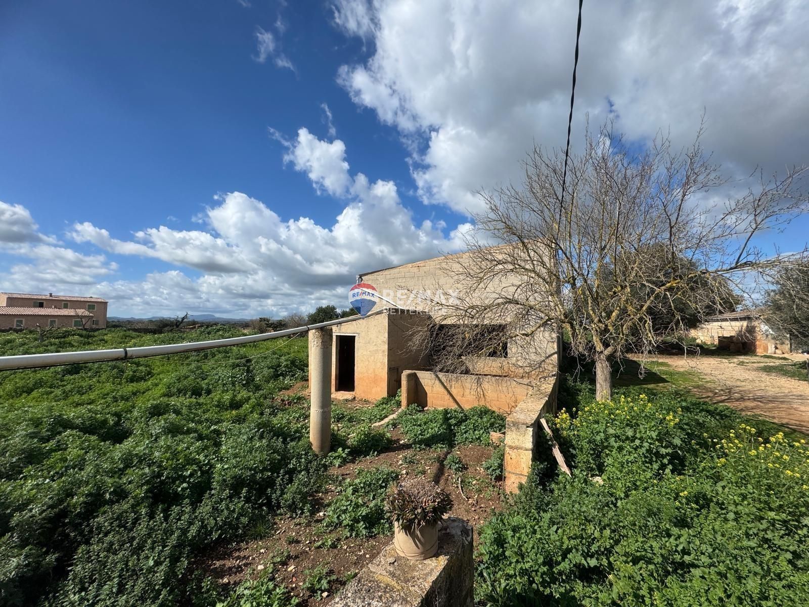 properties-photo