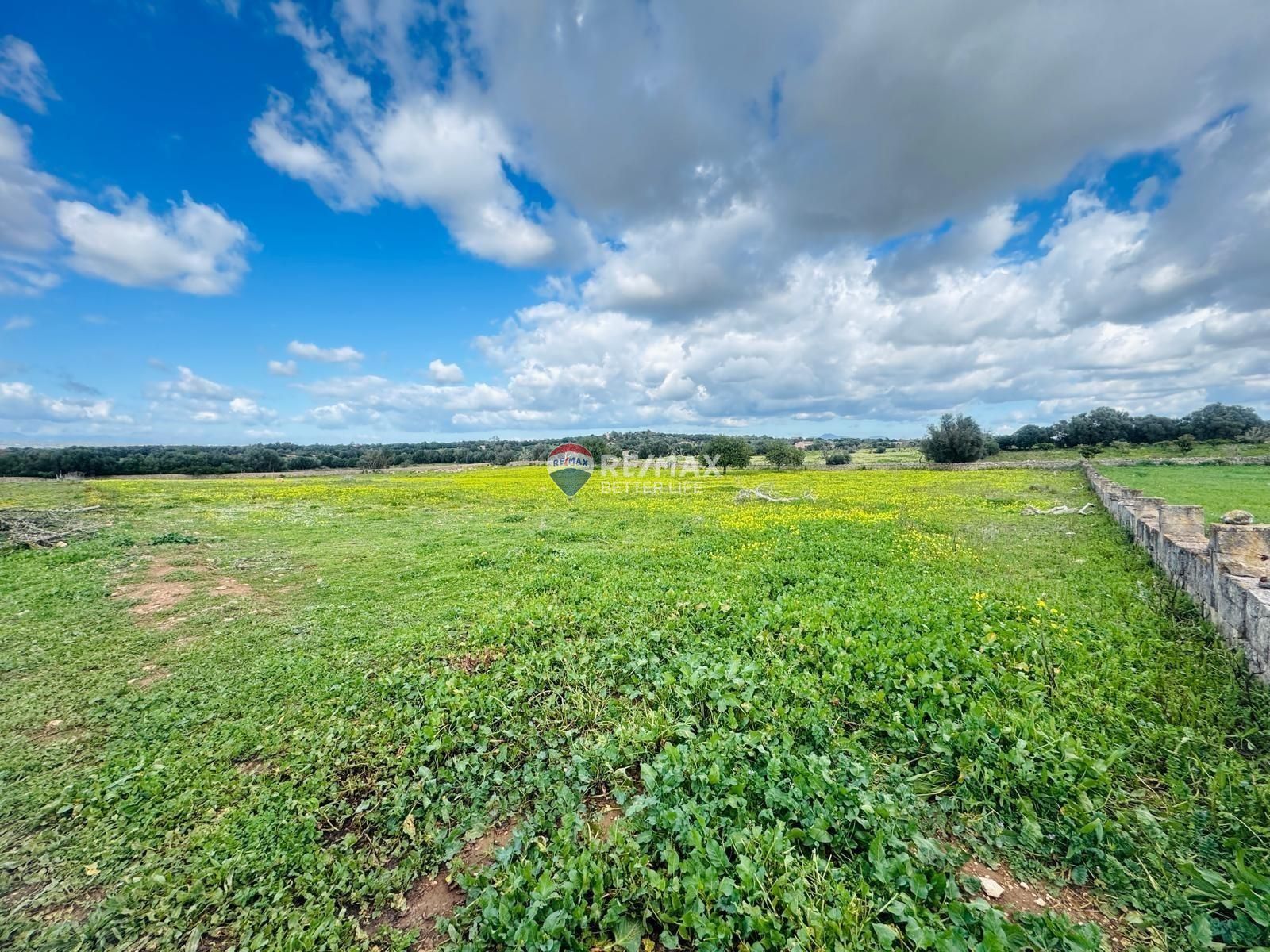 properties-photo