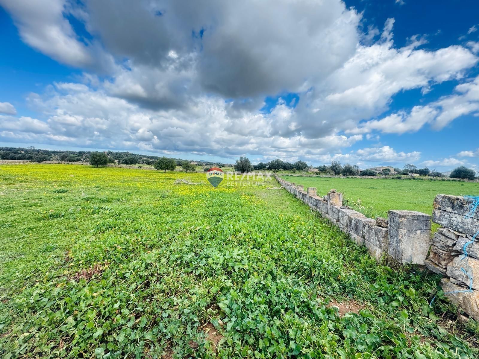 properties-photo
