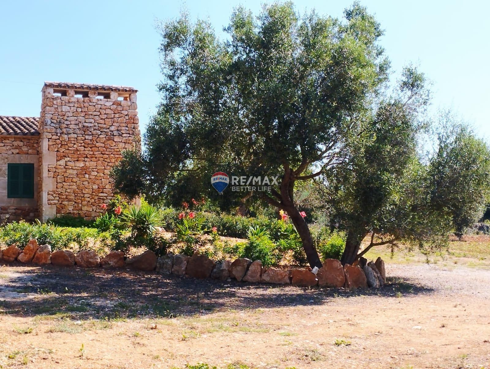 properties-photo