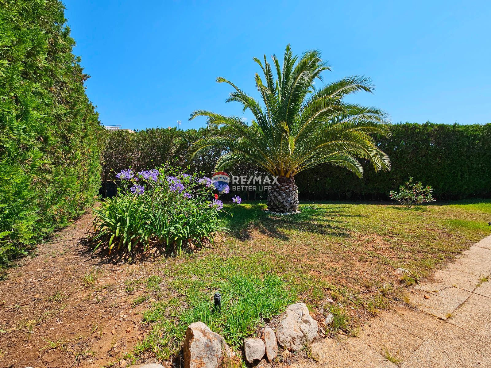 properties-photo