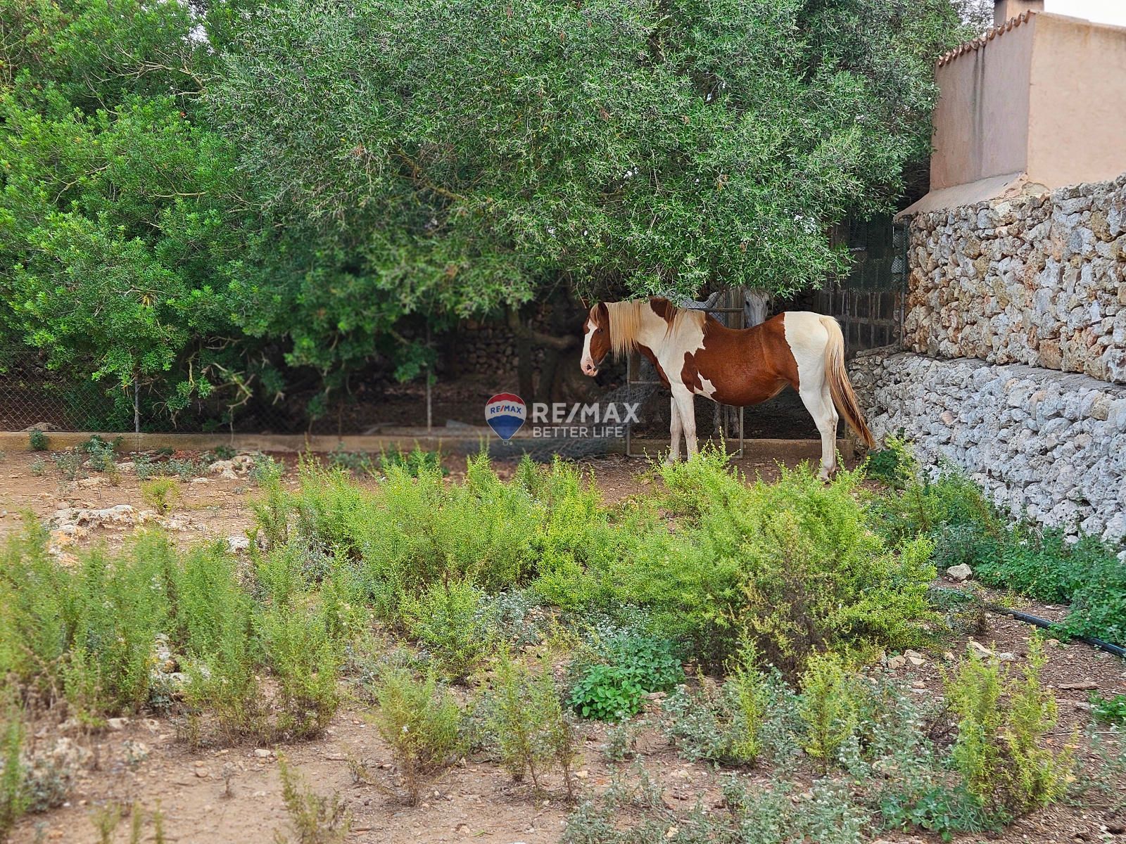 properties-photo