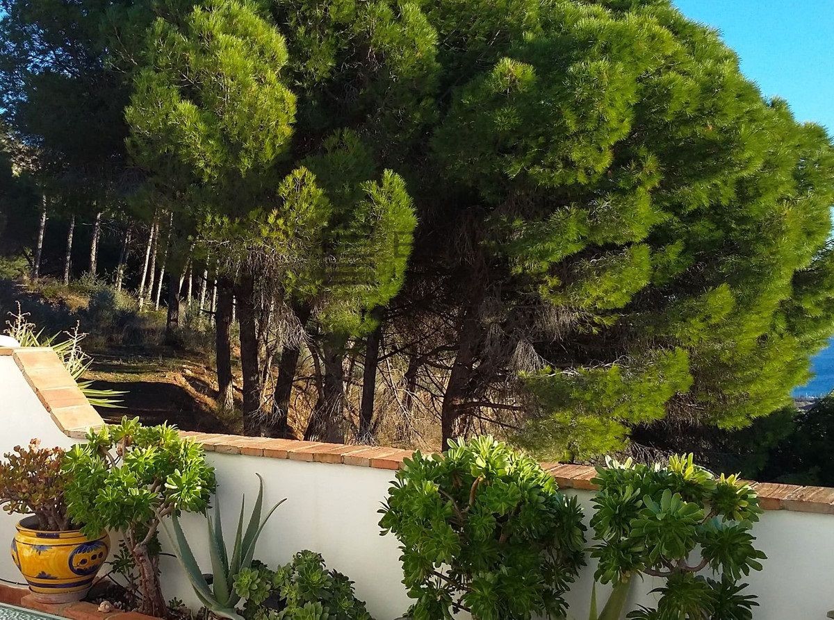 Casa en venta en Mijas, Málaga - Foto 7