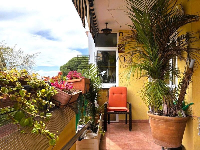 Piso en venta Marbella, Málaga. Ref: 5042. Bila Invest