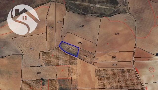 Parcela en venta San Clemente, Cuenca. Ref: 5489. Inmobiliaria Cuenca