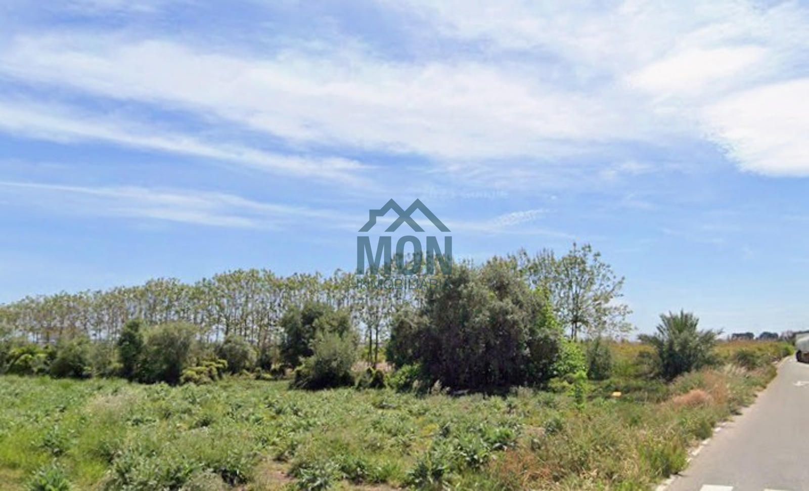 Solar en venta Massalfassar, Valencia. Ref: 24845. Inmobiliaria MON