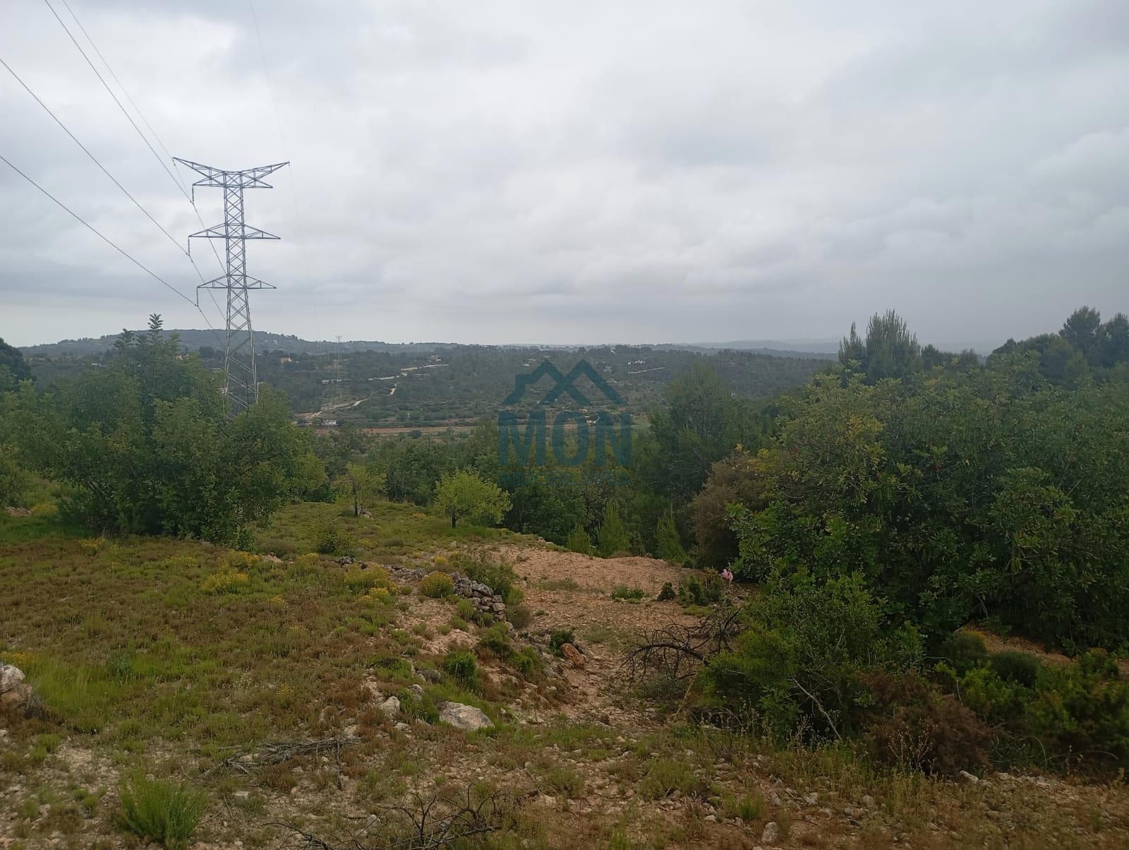 Plot for sale Buñol, Valencia. Ref: 25163. Inmobiliaria MON