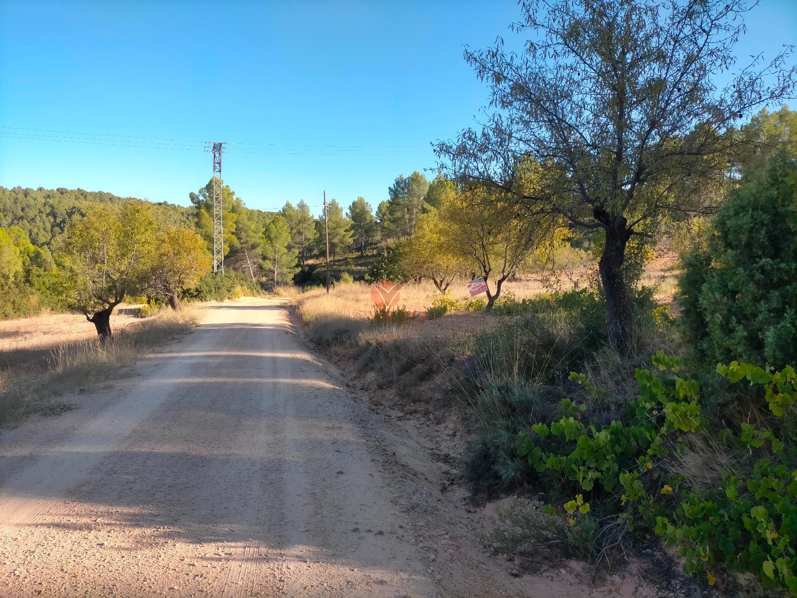 Parcela en venta Mira, Cuenca. Ref: 120150. Inmobiliaria Vieco